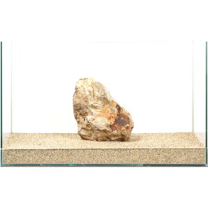 _@؉΁@e΁@60cmp@880280@֓