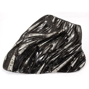 _@bRY@p΁@I\ZX̌Q΁@48×36cm@\ʖ@880306@֓