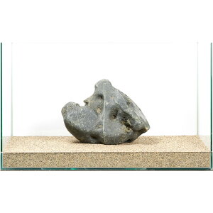 ��_���@�ɊC�΁@�e�΁@60cm�����p�@880307�@�֓�������