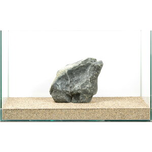 _@ɊC΁@e΁@60cmp@880313@֓