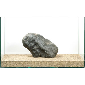 ��_���@�ɊC�΁@�e�΁@60cm�����p�@880317�@�֓�������