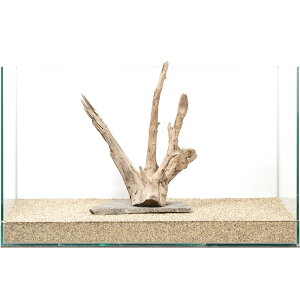 _@PΕtz[X^vEbh@60cmp@880319@֓