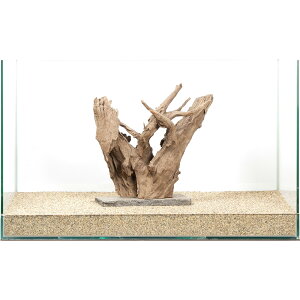 _@PΕtz[X^vEbh@60cmp@880321@֓