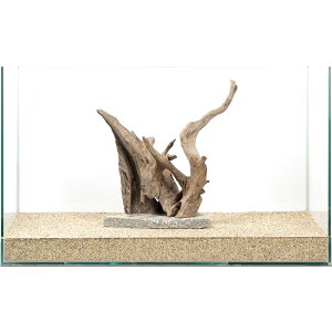 _@PΕtz[X^vEbh@60cmp@880330@֓