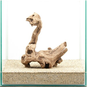 ��_���@�㎿���؁@��@30cm�����p�@880364�@�֓�������