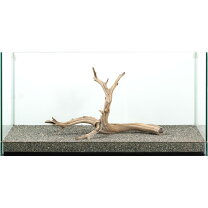 楽天市場】水槽 90cm（流木｜流木・砂利・レイアウト用品）：水槽 