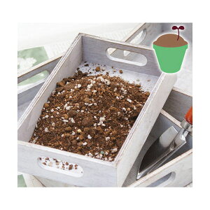 |{y@ϗtA̓y@10L@ړIʂ̉|py@ll4_@֓