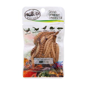 AEgbgi@voOY@^pbN@X[p[[@20g@퉷ۑ@a@a@a@󂠂@֓