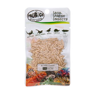 AEgbgi@voOY@^pbN@CX[@15g@퉷ۑ@a@a@a@t[h@󂠂@֓