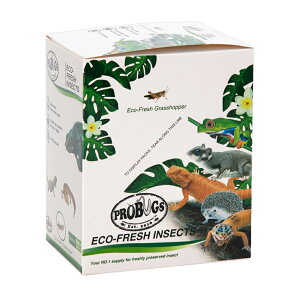 AEgbgi@voOY@^pbN@OXzbp[@1i8C×10܁jynlY~^K^঒ށ^ށ^^z@󂠂@֓