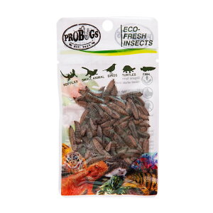 AEgbgi@voOY@^pbN@ubN\W[tC@20g@ynlY~^K^঒ށ^ށ^^z@󂠂@֓