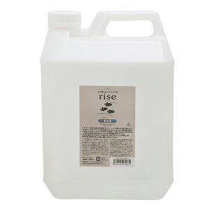 PoNeA܁@rise@CY@Cp@4L@DCoNeA@C@֓