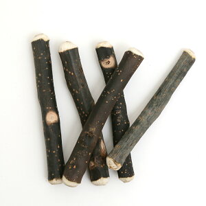 Y@^p@Ȃ̂؁@}@5{@@VR؁@Ê΍@^@^@֓