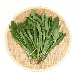 iϗtAjY@ƂꂽĐ쑐@ۂۂ̗t@100g@@K@USAYAMA