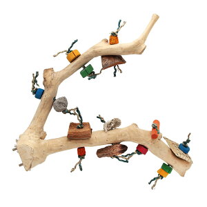 ^CRIEp@^R̖؂̂t}`p[`@LTCY@o[hgC@֓