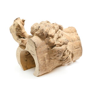 `󂨔C@R[q[̖؂̉BƃVF^[@M@঒ށ@ށ@@֓