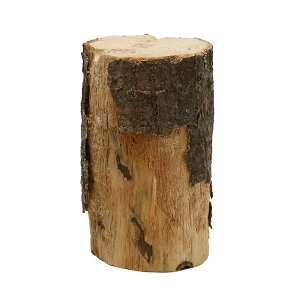 Iʂ@Y؁@ځi7`9cmj@1{@֓