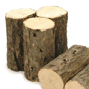 コナラ産卵木 極太 良材 1本 昆虫 クワガタ 関東当日便