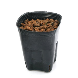 iR쑐jJAICijREJAICi슦j3i1|bgj