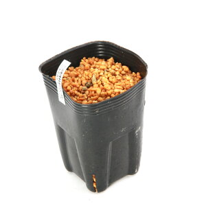 iR쑐jeiVEiV쐯jIK^eiVEiV쐯jSTCY@3i1|bgjixԁj