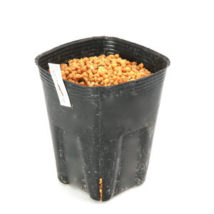 iR쑐jeiVEiV쐯jLV}eiVEiV쐯j@1@3i1|bgjixԁj