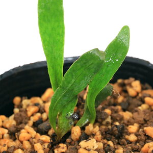 iR쑐jV_irjqTWiPj3i1|bgjΐN