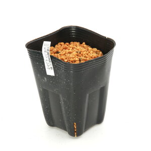 iR쑐jeiVEiV쐯jqK}VOTiފ坑jSMTCY@1@3i1|bgjixԁj