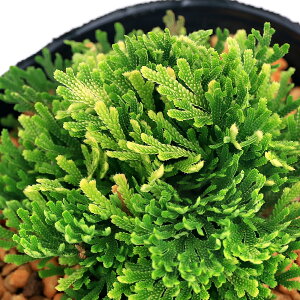 iR쑐jV_irjinCqo@inNWj2D5`3i1|bgjÓT|