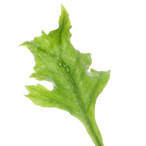 iR쑐jV_irjinV_@HߗtmzNniHߗtmItj3i1|bgjΐN