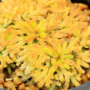 iR쑐jV_irjinCqo@Pm؁iREzEmnij2D5`3i1|bgjÓT|