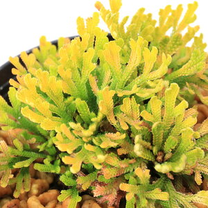 iR쑐jV_irjinCqo@ΗiLJEj2D5`3i1|bgjÓT|