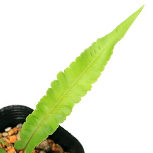 iR쑐jV_irjqgcoVPV_ibtCrj3i1|bgjh@ėΐixԁj