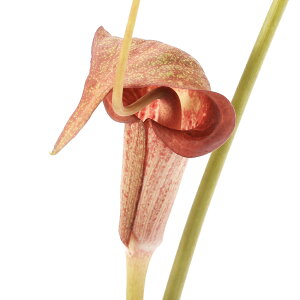 iR쑐jԉԁ@EV}\E@IBYiԉԉYj3i1|bgjixԁj