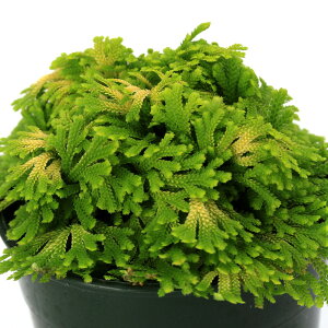 iR쑐jV_irjinCqo@hqiTJGWVj2D5`3i1|bgjÓT|