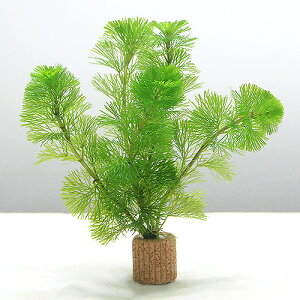 ij_JE@Ct}`ijJ{oi3j