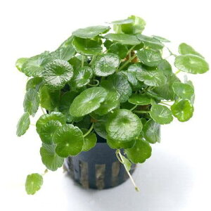 ij~j}bV[igsJ|bgjitji_ji3|bgj