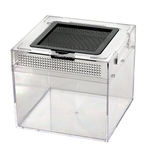 ঒ރP[W@NAP[X@20×20×18cm@|J[{lCg@֓