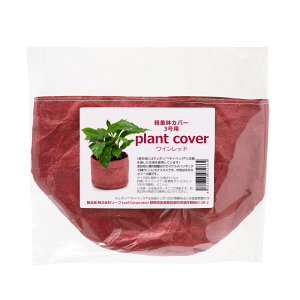 Jo[@yʔJo[@3p@Cbh@ϗtA@@k@@y@߂@Ȃ@sDz@֓