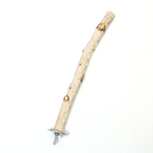 @Ƃ܂؁@Y炩΁@p[`@S@VRfށ@ZLZC@^CR@tB`@Œ莮@Ƃ܂؁@֓