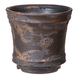 @R|@vqā@4@̓V[Y@a12cm`13D5cm@֓