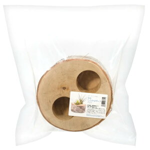 ؐ|bg@2@Y炩΁@Jo[@K[fjO@֓