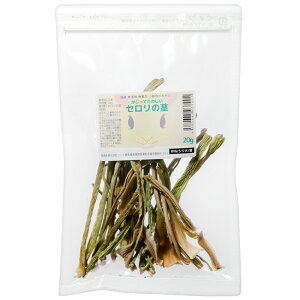 Y@Ă̂@Žs@20g@̂@hC؁@@nX^[@Y@F@֓