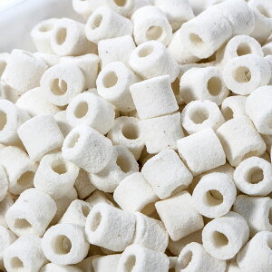 Z~bNO@STCY@20kgi25Lj@Oށ@oNeA@֓