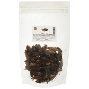 frA@50g@ށ@঒ށ@nlY~@K@t[h@a@GT@֓