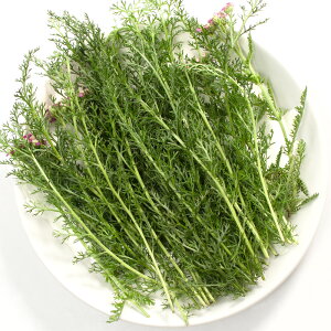 iϗtAjY@ƂꂽĐn[u@E@30g@@@K