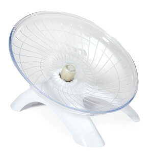 nX^[p񂵎ԁ@tCOzC[@zCg@֓