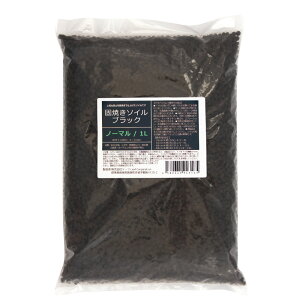 ŏĂ\C@ubN@m[}@1L@֓