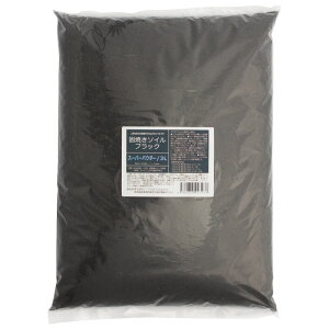 ŏĂ\C@ubN@X[p[pE_[@3L@֓