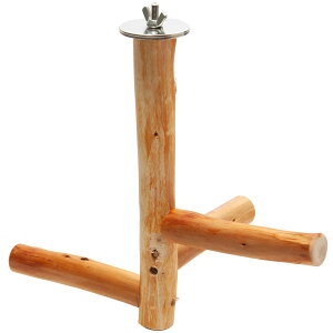 @Ƃ܂؁@qmL݂̒艺p[`@V[g@߁@Y@ZLZC@^CR@tB`@֓