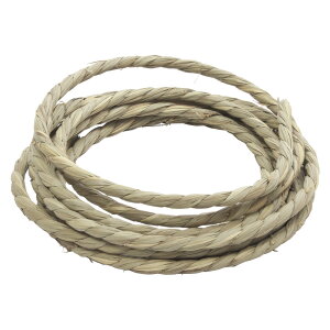 VR̃[v@3m@@fO[@``@^CR@^CR@֓